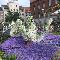Фестиваль цветов в Оденсе :: minchanka 