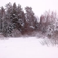 В снегах :: Денис Бочкарёв
