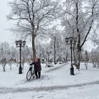В зимнем парке :: Роман Савоцкий