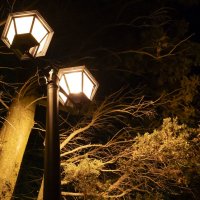 Ночь, улица, фонарь... :: Сергей Царёв