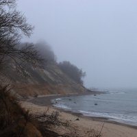 Туман на побережье :: JohnConnor844 N