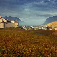 Castle Aigle :: Elena Wymann