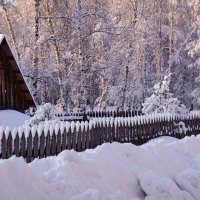 У леса на опушке :: Лиса Обыкновенная *