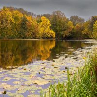 Лесное озеро. :: Людмила 