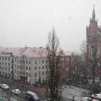 в Калининграде выпал снег, правда, ненадолго :: Маргарита Батырева