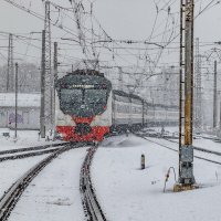 Опять от меня сбежала ... :: Анатолий. Chesnavik.