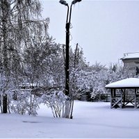 Люблю снежок в начале мая... :: Василий 