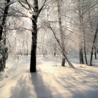 И в феврале мороз ещё бывает.. :: Андрей Заломленков