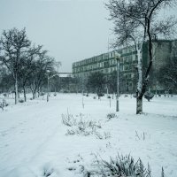 Снежный день :: Анатолий Чикчирный