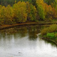 Осенний поворот реки. :: Галина Полина