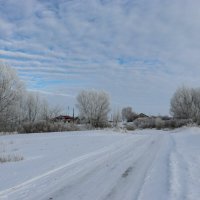 Серебром играет зимний день :: Татьяна Котельникова