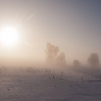 Февраль туманный :: Валерий Иванович