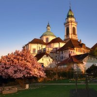 St.Ursen Kathedrale, Solothurn :: Elena Wymann