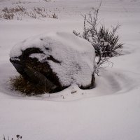 Камень в снегу :: Анатолий Чикчирный