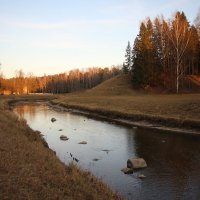 Павловский парк. Ноябрь :: Наталья Герасимова