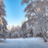 Поход в сказку :: Vladimbormotov 