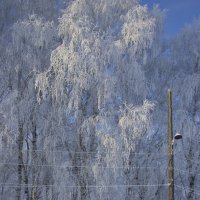 Свет. :: Алексей Екимовских