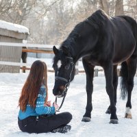 Девушка и конь :: Елена Логачева