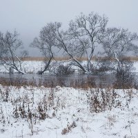 Туман в долине Протвы :: Сергей Курников