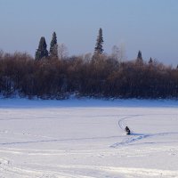 Зимний транспорт рыбаков :: Галина Кан