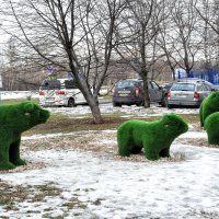 В ожидании каршеринга...:) :: Анатолий Колосов