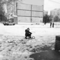 На санках в любую погоду! :: Юлия Закопайло