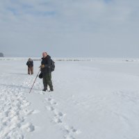 поход выходного дня :: Елена Шаламова