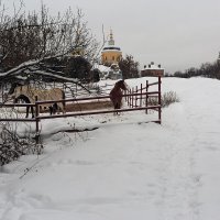 Старый Серпухов :: Владимир Гришин