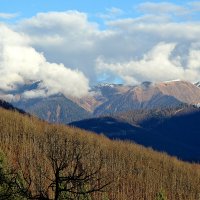 Красная поляна :: Татьяна Лютаева