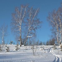 В солнечный денёк. :: Николай Масляев