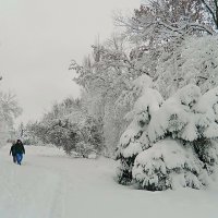 Прогулка после снегопада :: Александр Бурилов