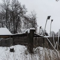 Скворешники. :: Владимир Гришин