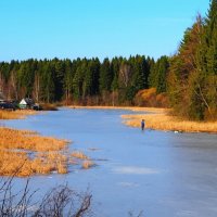 Картинка февраля :: Милешкин Владимир Алексеевич 