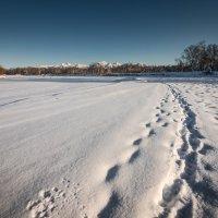 ... :: Евгений Житников