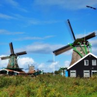 Zaanse Schans - Нидерланды :: wea *