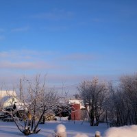 За городом зима. :: Венера Чуйкова