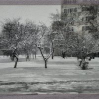 Зимний пейзаж :: Анатолий Чикчирный