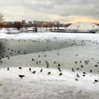 Царицынский парк. :: Восковых Анна Васильевна 