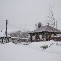 Снег на излёте зимы :: Роман Пацкевич