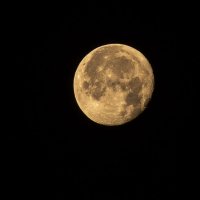 Луна в ночном небе :: JohnConnor844 N