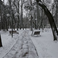 После снегопада :: ZNatasha -