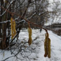 Московская зима :: Андрей Лукьянов