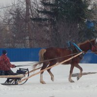 Гужевой транспорт. :: сергей 