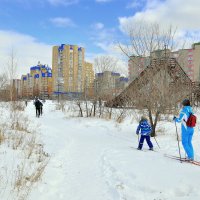 В выходной на лыжах..... :: Анатолий Анищик