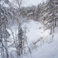 В белом царстве лесов :: Денис Бочкарёв