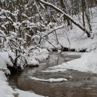 родниковая речка :: Валентина. .