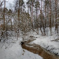 родниковая речка :: Валентина. .