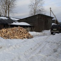 Дрова привезли. :: Павел 