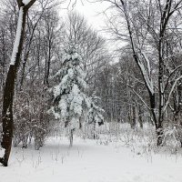 В парке Царицыно :: Лидия Бусурина