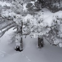 г. Мустаг. Шерегеш :: Валерий Михмель 